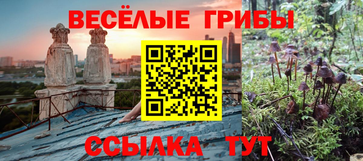 Мичуринск  Галлюциногенные грибы Magic Shrooms  Вход с VPN 