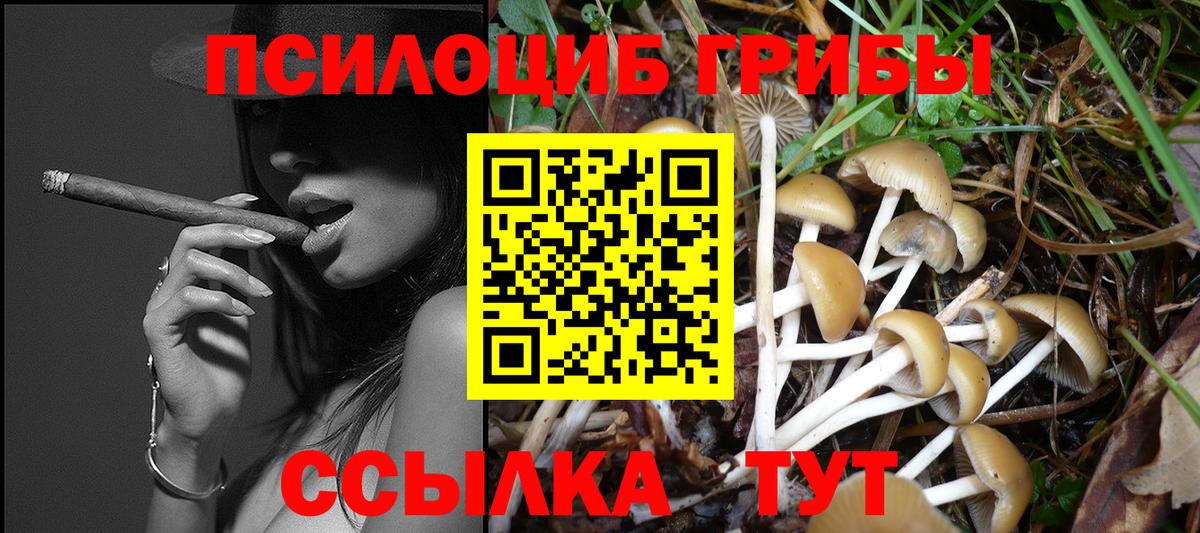 Галлюциногенные грибы Cubensis Мичуринск
